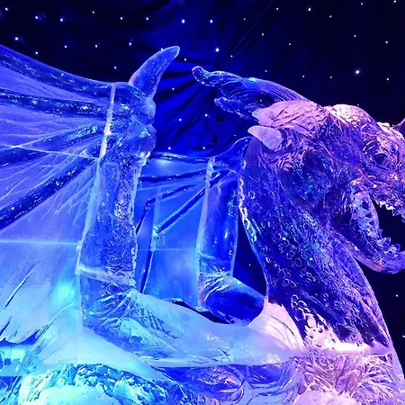 Buena Vista Homestay